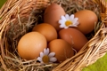 К продолжению празднования Дня яйца...
